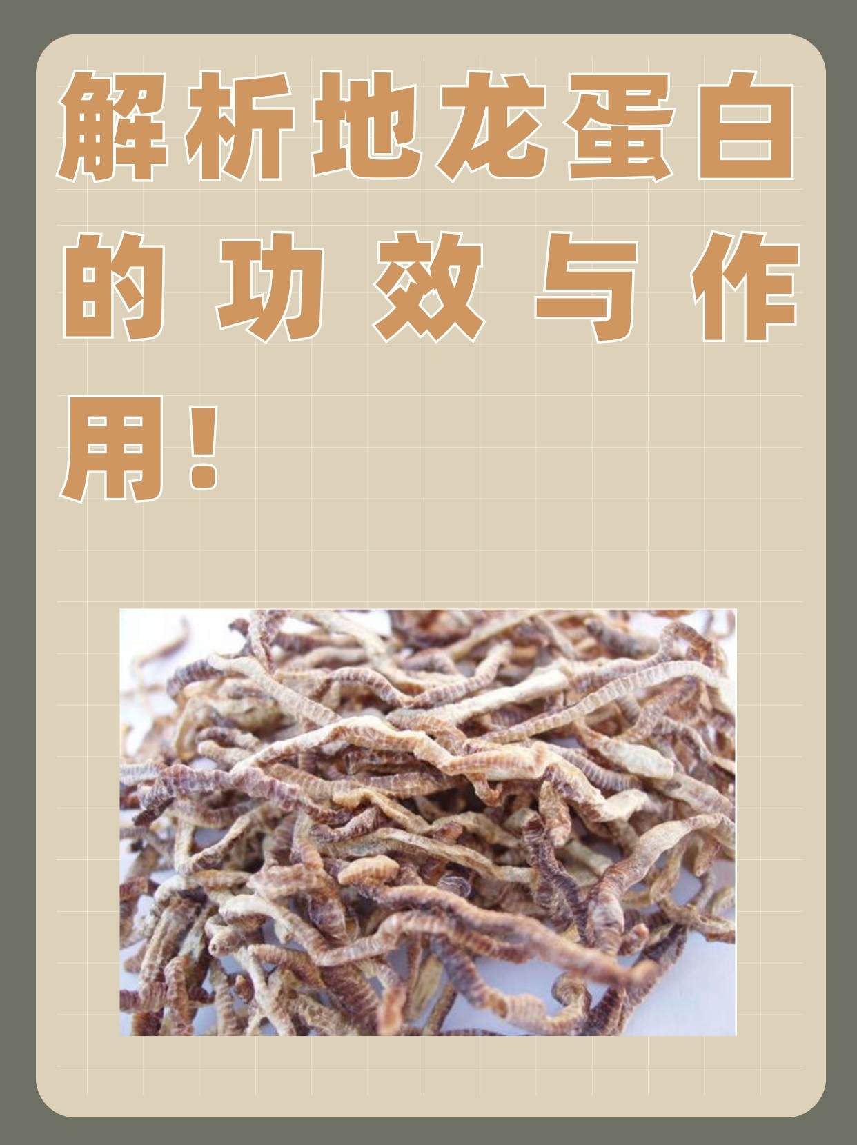 解析地龙蛋白的功效与作用