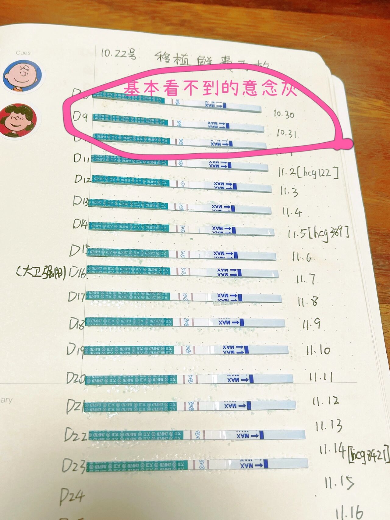 试管移植43天正常状态(试管移植43天正常状态是什么)