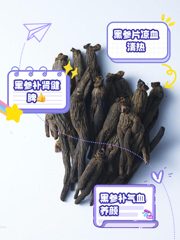 黑参的功效与作用