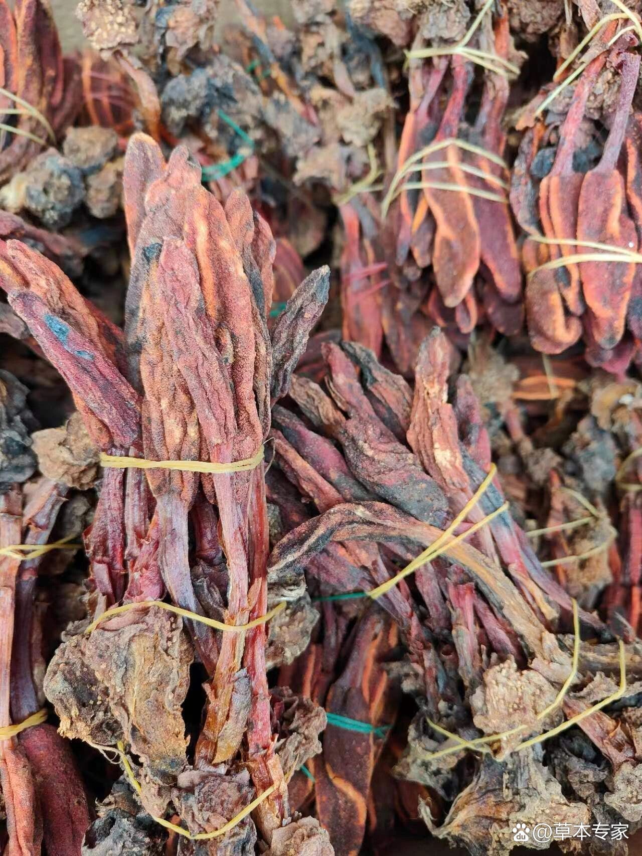 野生回春草2斤150元包邮.