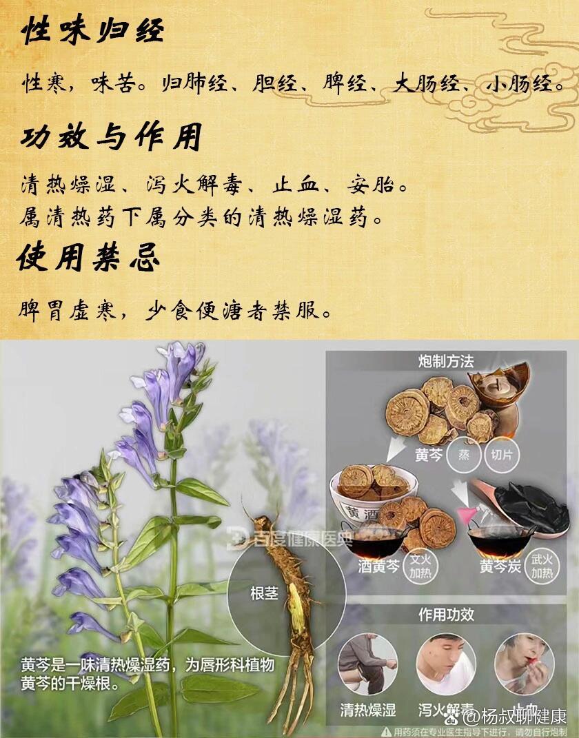 黄芩配方颗粒图片