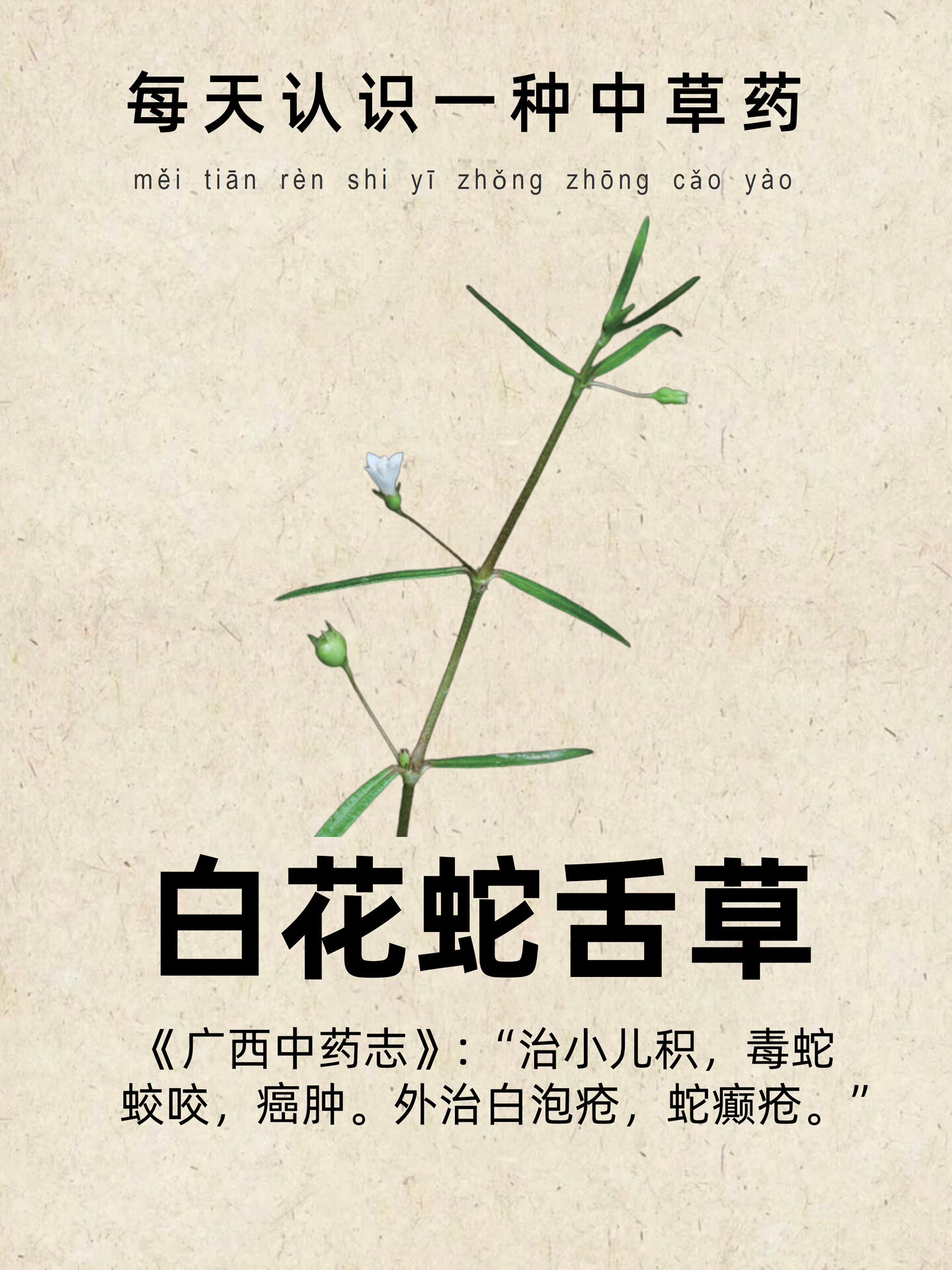 每天一味·第18期
