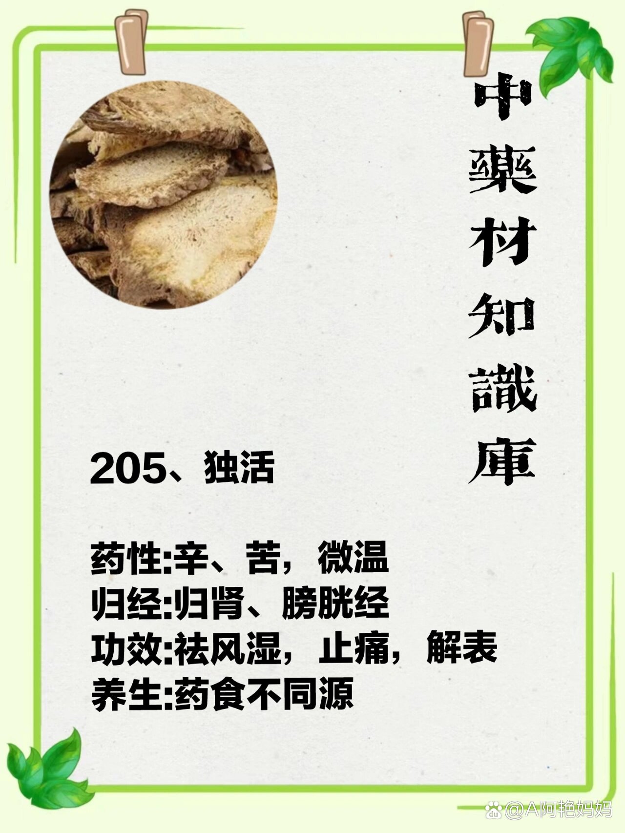 独活  br>药性:辛,苦,微温  br>归经:归肾,膀胱经  br>功效:祛风湿