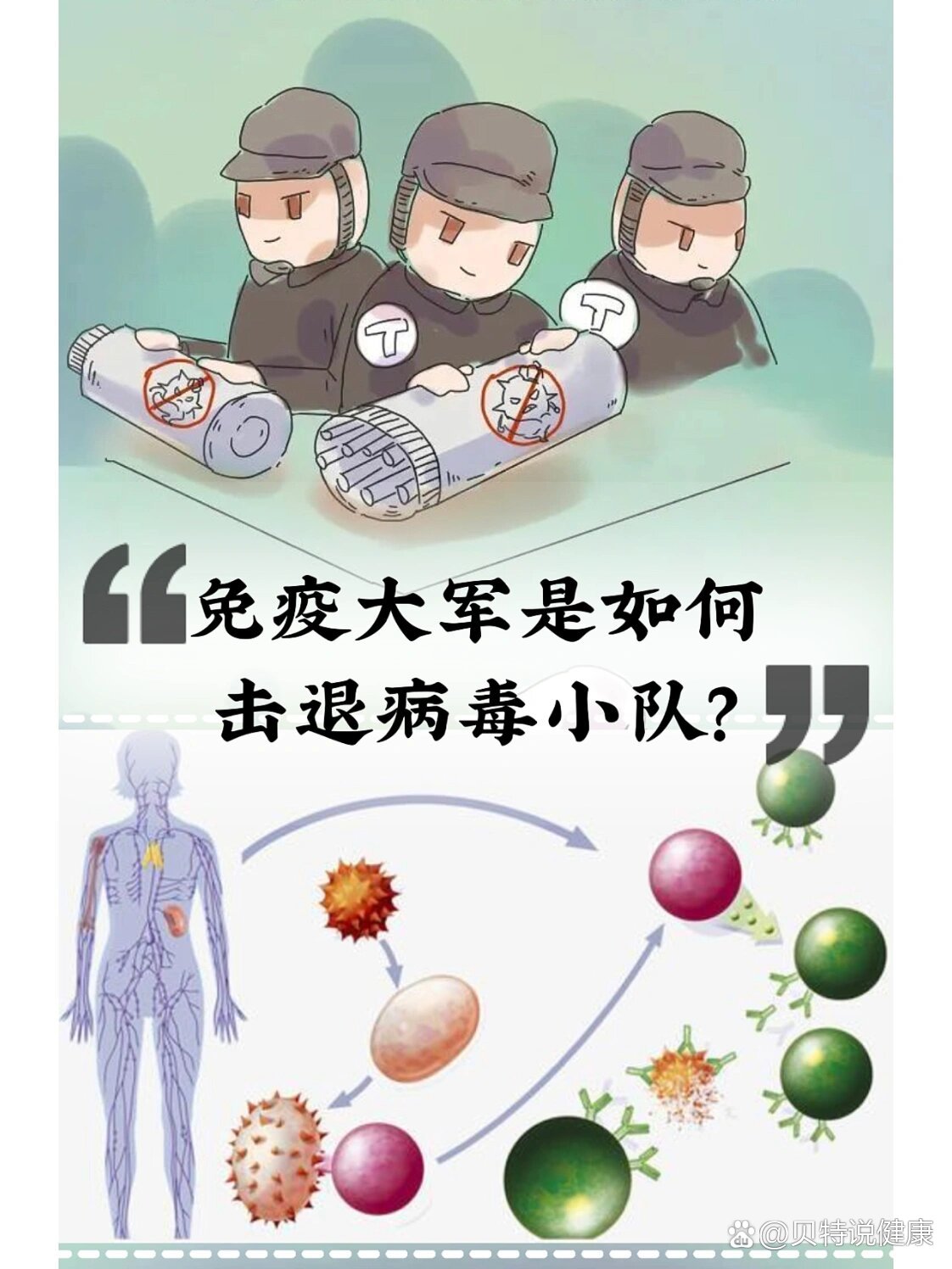 免疫系统动画片儿童版图片