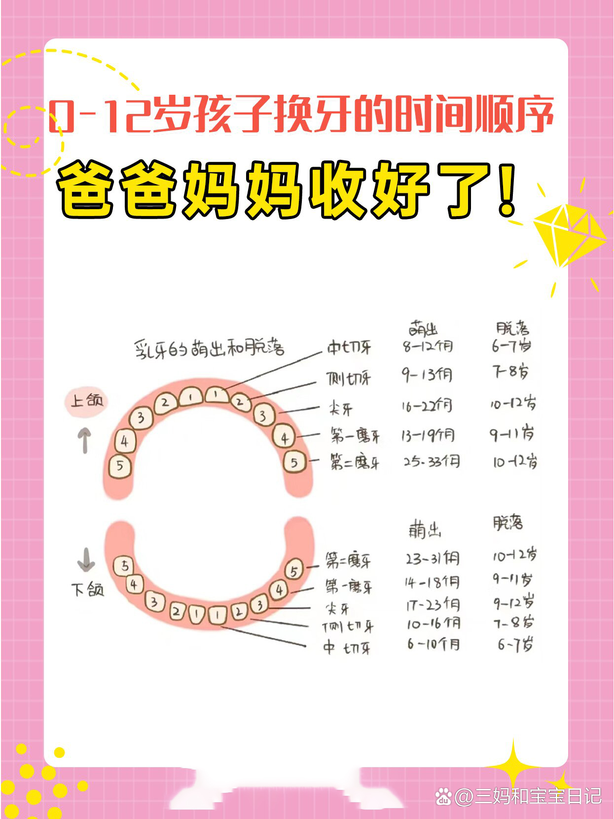 长牙时间表图图片