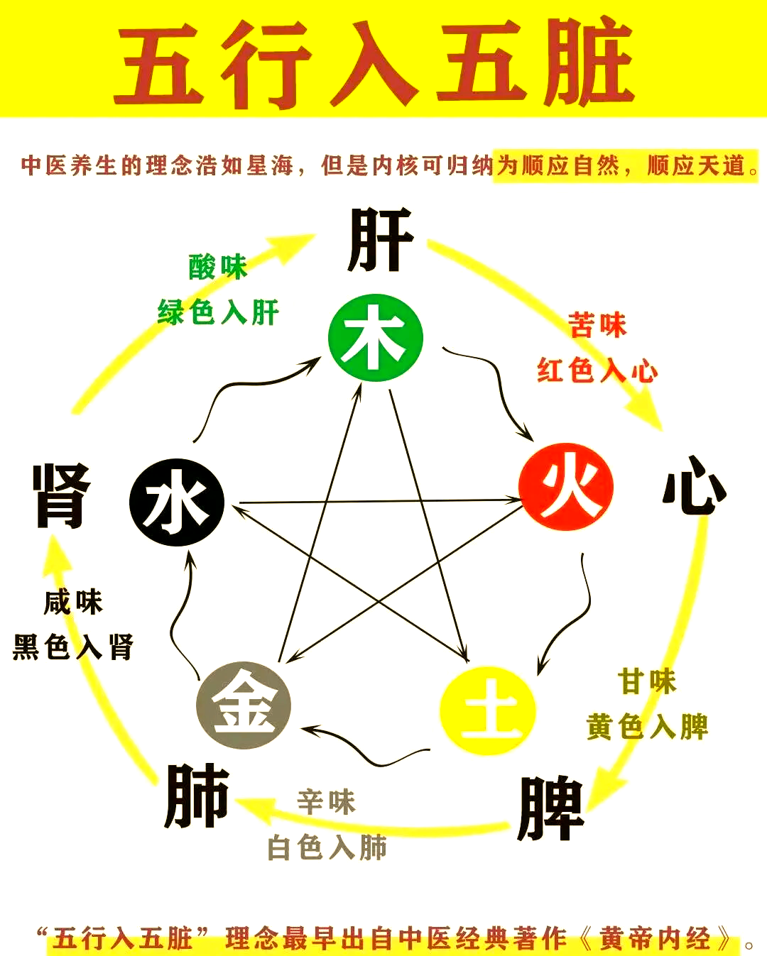 中医五行相生相克与五脏关系详解