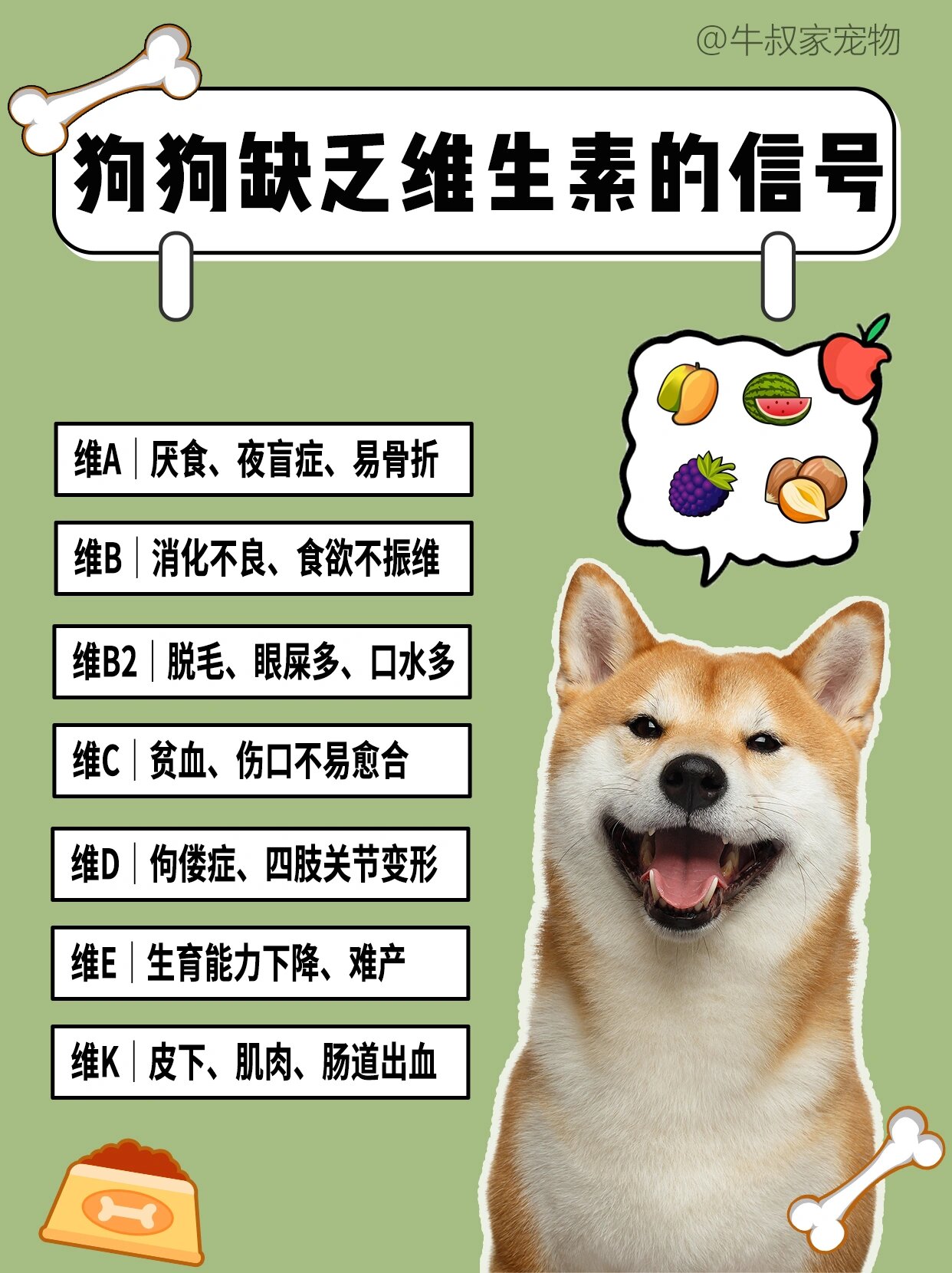 狗狗缺乏各种维生素的表现7215别再分不清了