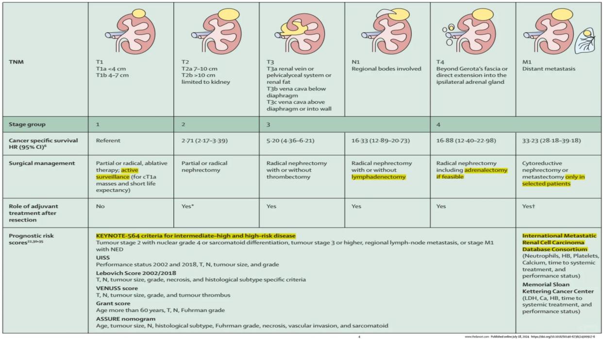 🔬RCC在医学中的含义揭秘