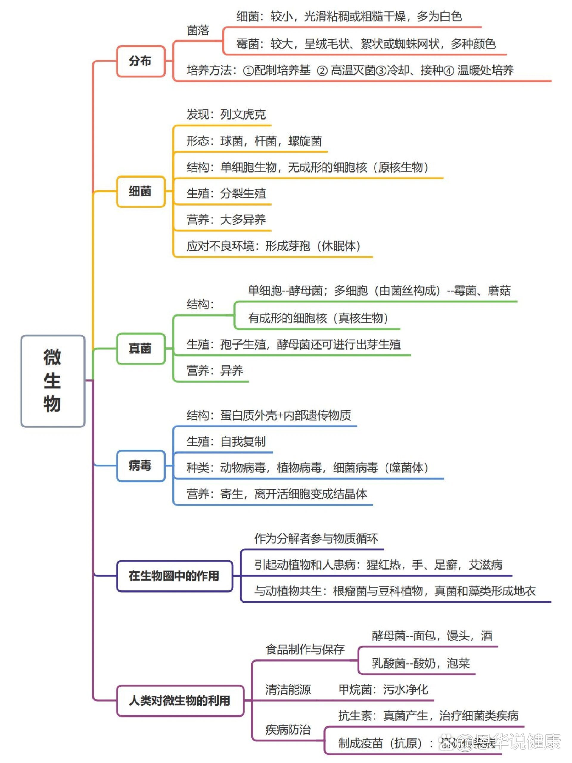 微生物的分类思维导图图片