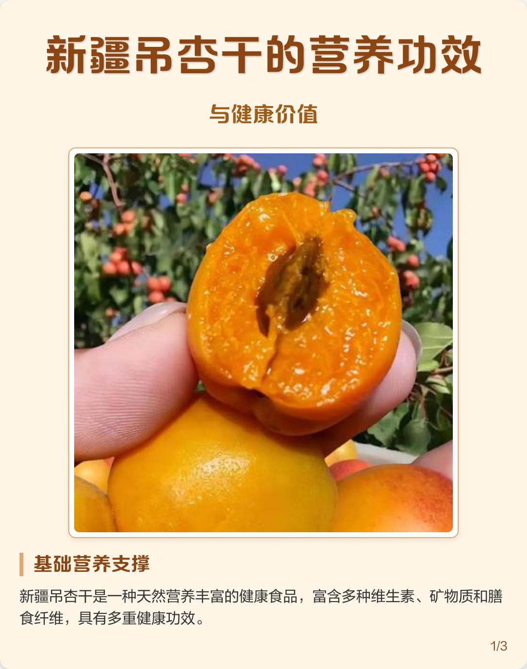 新疆吊杏干的营养功效与健康价值