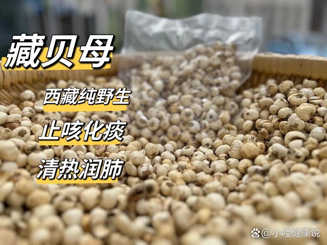 川贝和贝母的几种,如何辨别?
