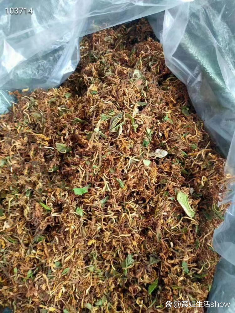 天气热少不野生金银花泡水喝,小孩长痱子用金银花水泡澡等功能多多,野