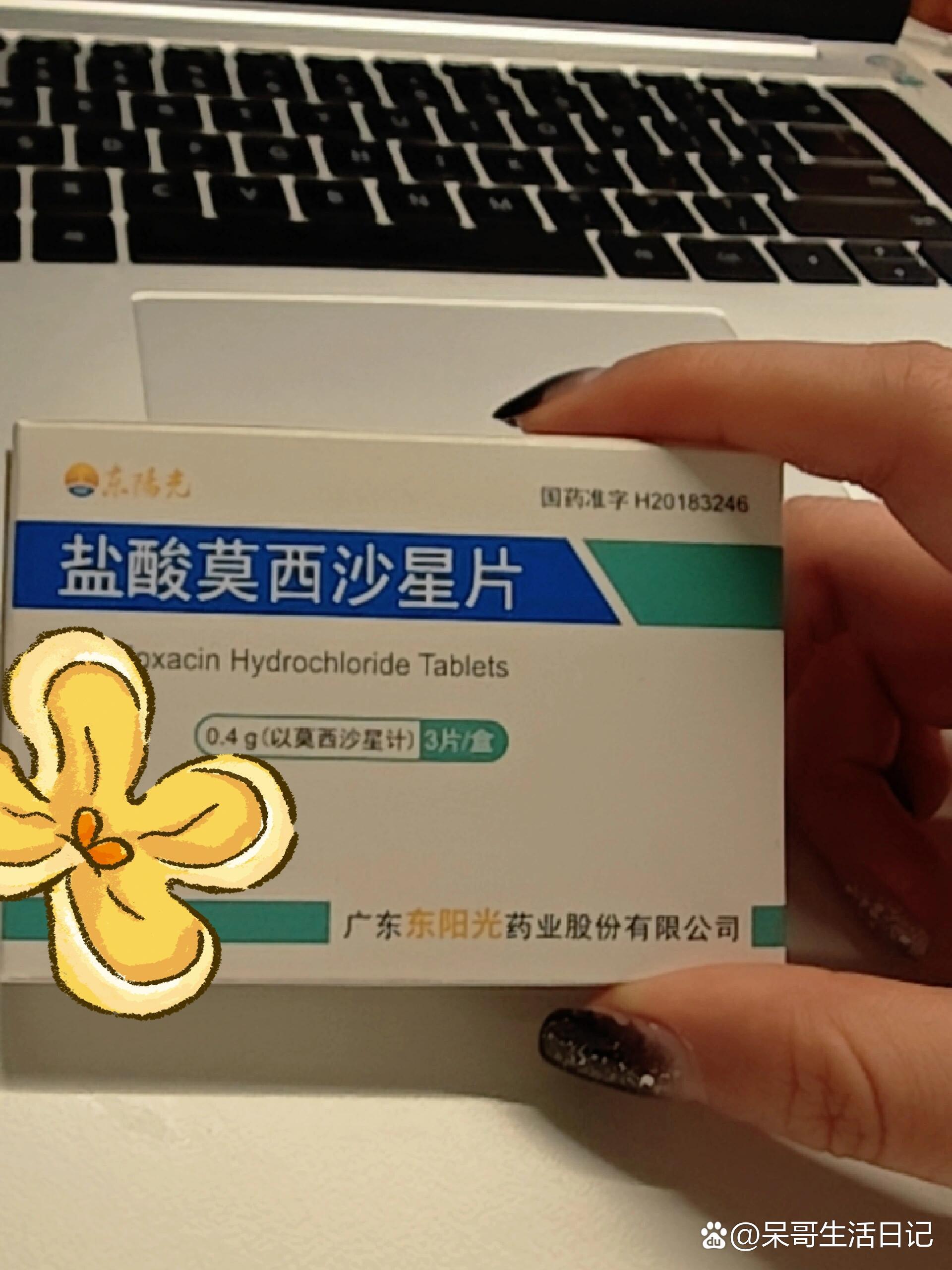 莫西虫净荷兰图片