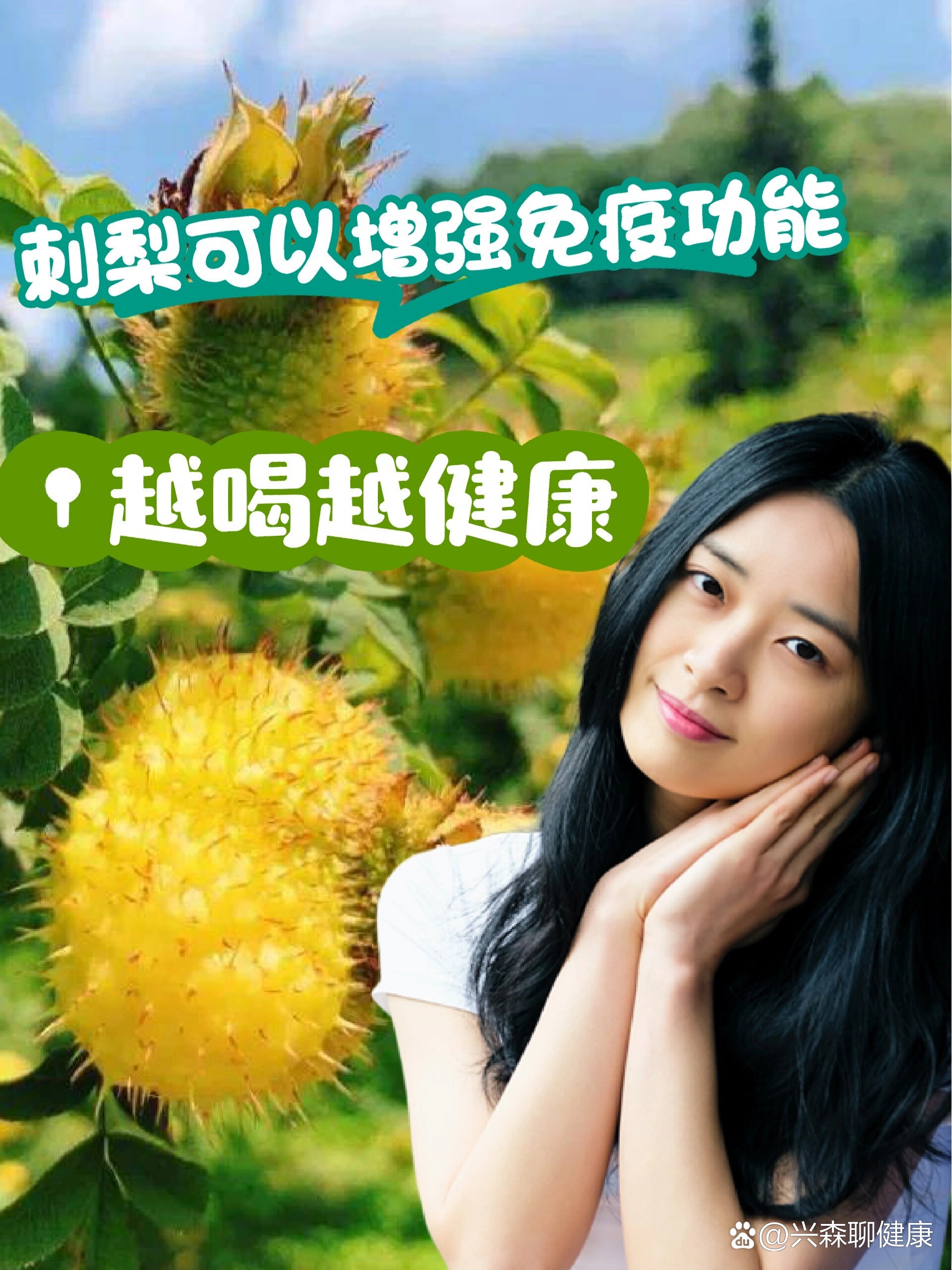 ?刺梨十大功效之增强免疫功能