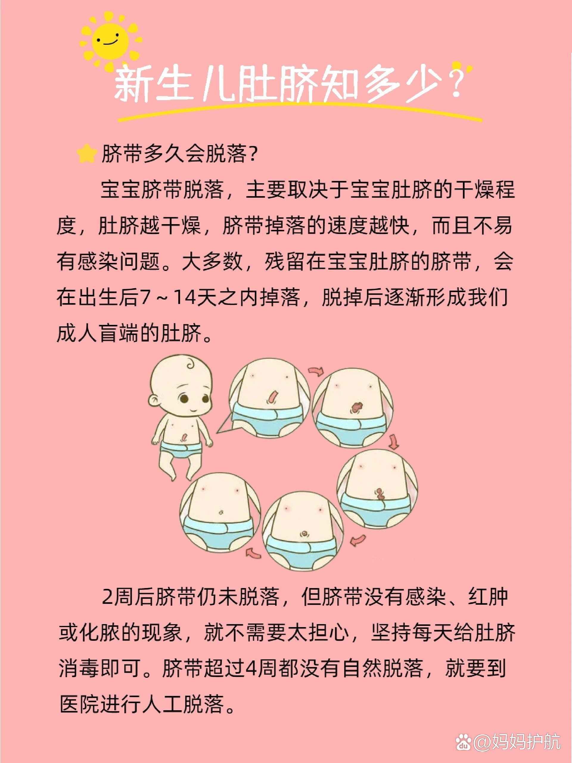 婴儿肚脐脱落过程图解图片