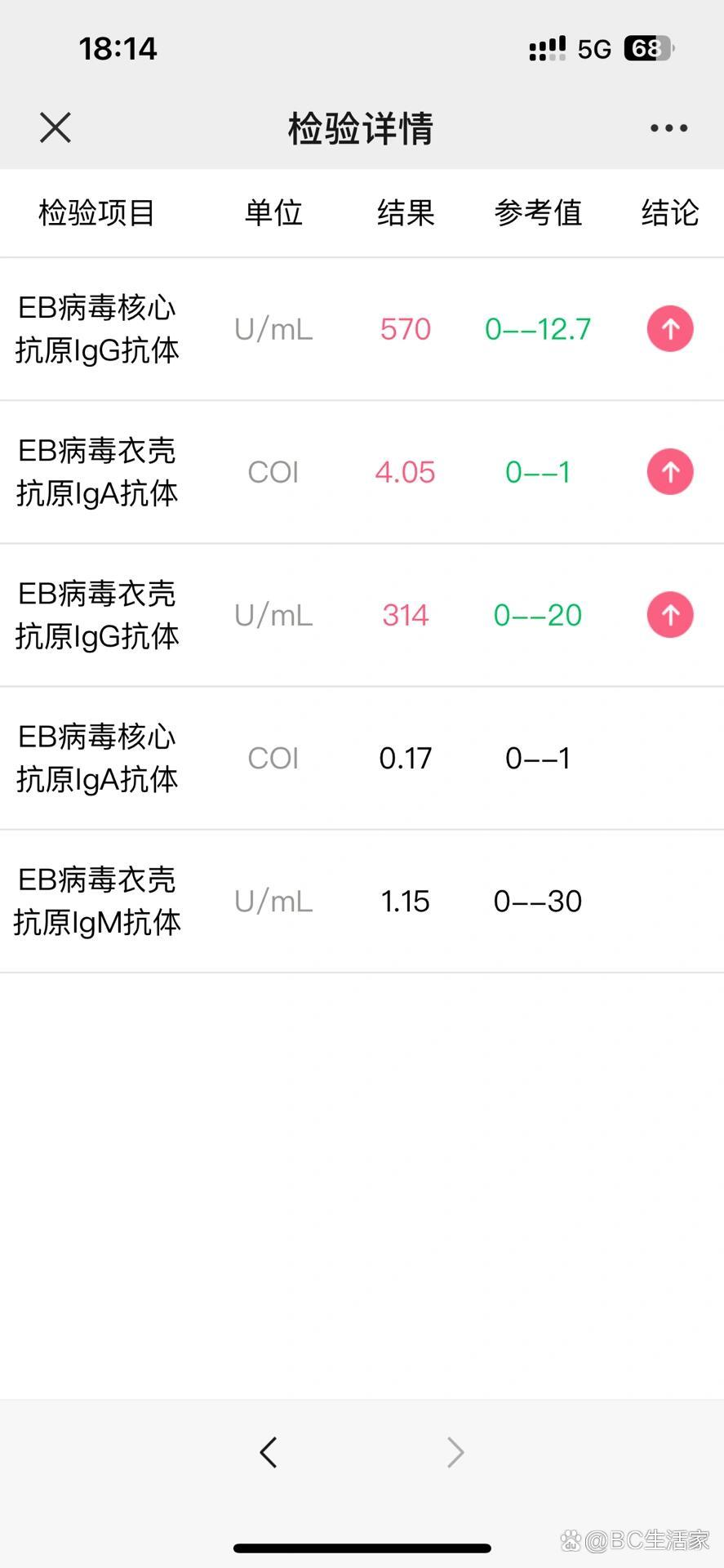 eb病毒抗体五项
