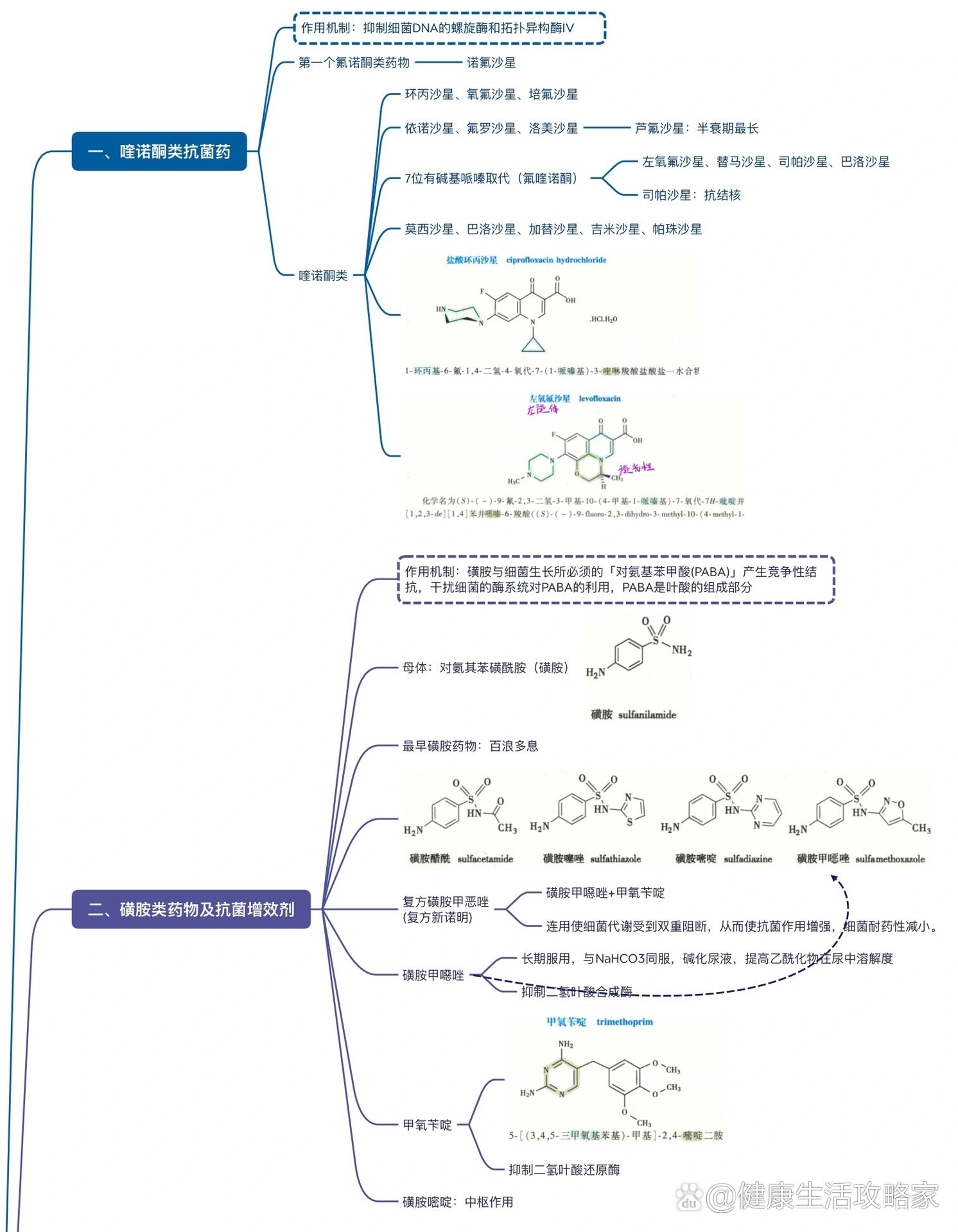 去甲肾上腺素思维导图图片