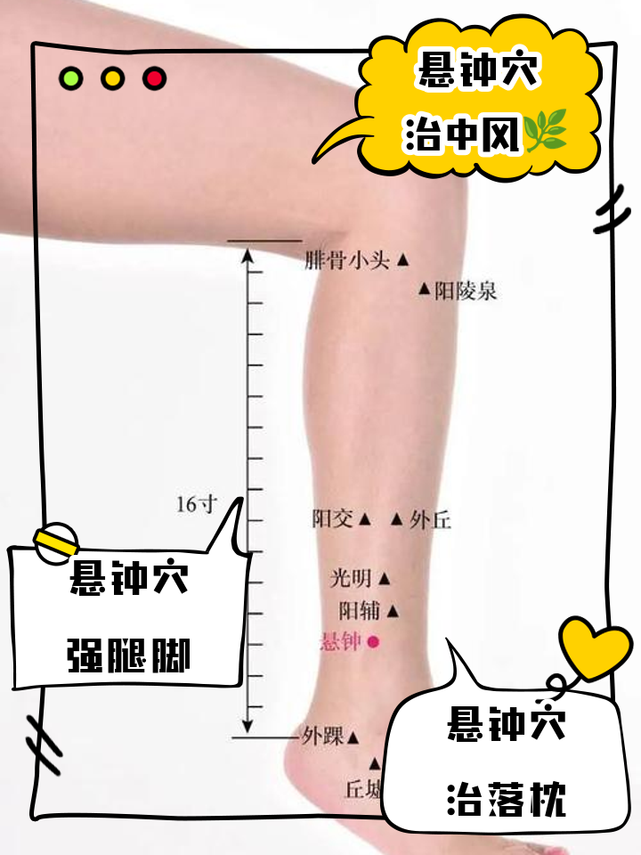 悬钟的准确位置图作用功效