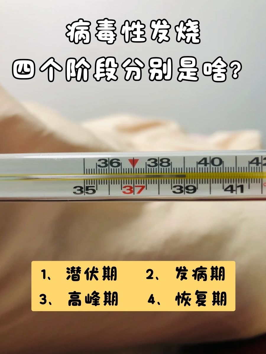 病毒性发 烧的四个 阶段相关图片3
