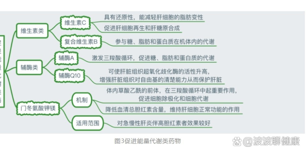  br>利胆类保肝药  br>中草药及其提取物  br>降酶类---联苯双酯,双环