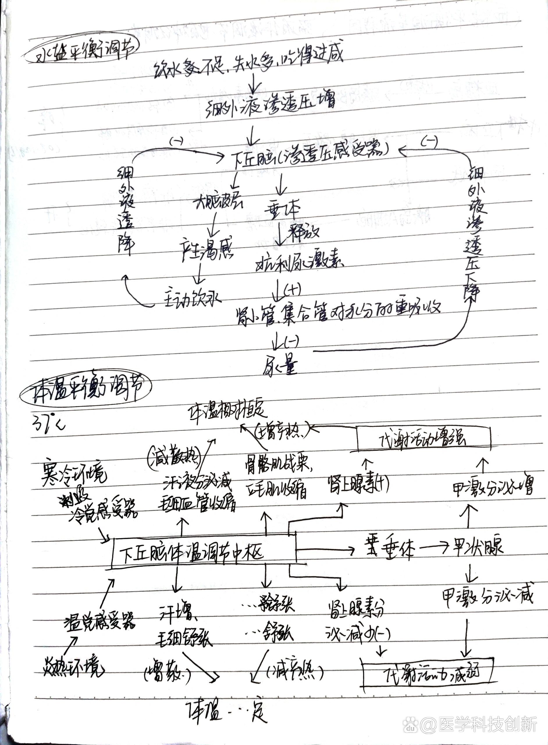 水盐平衡调节,体温调节,血糖调节,思维导图过程 /p>