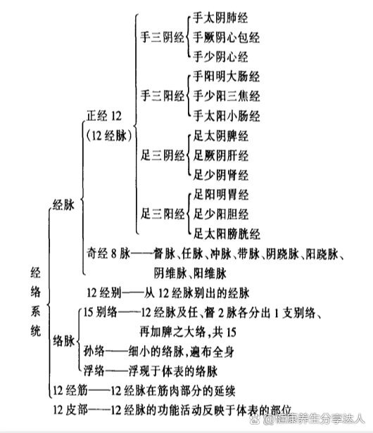 人体经络系统的组成