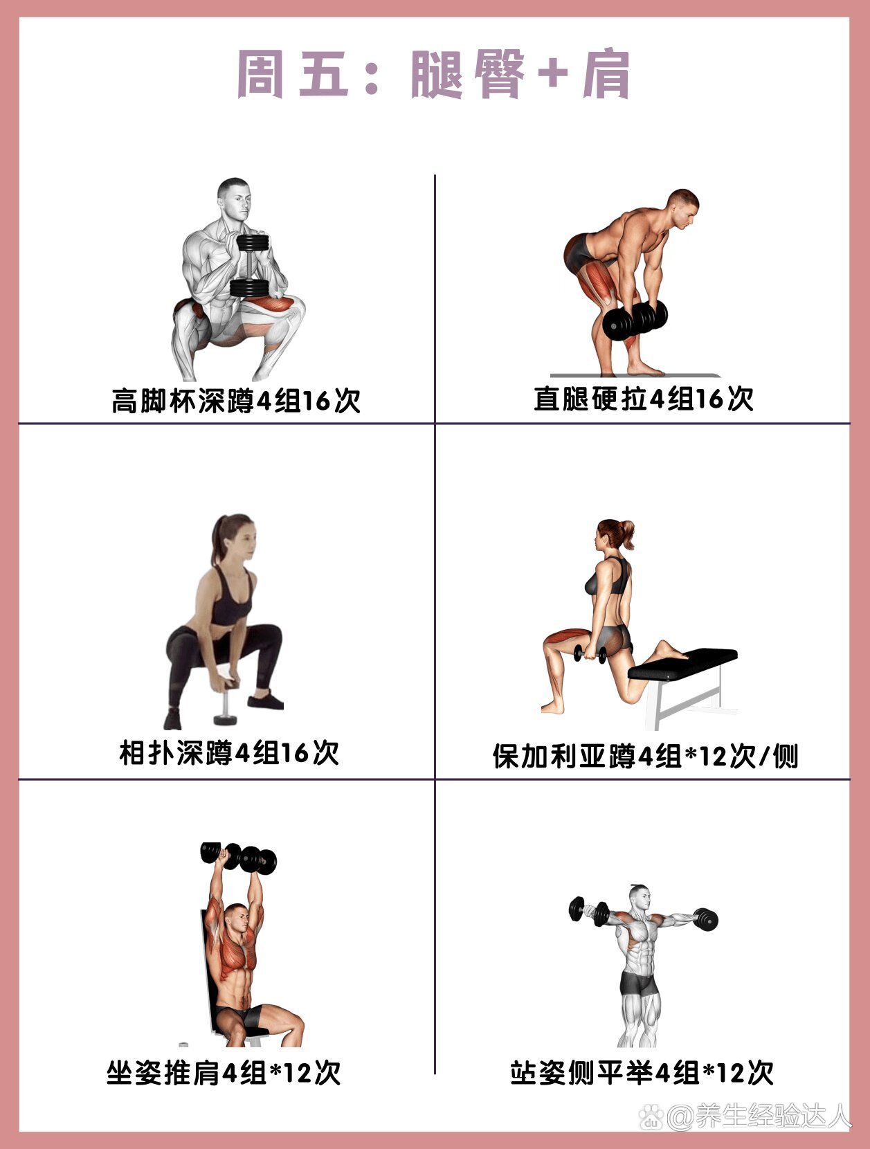 哑铃全身训练计划|一周三练