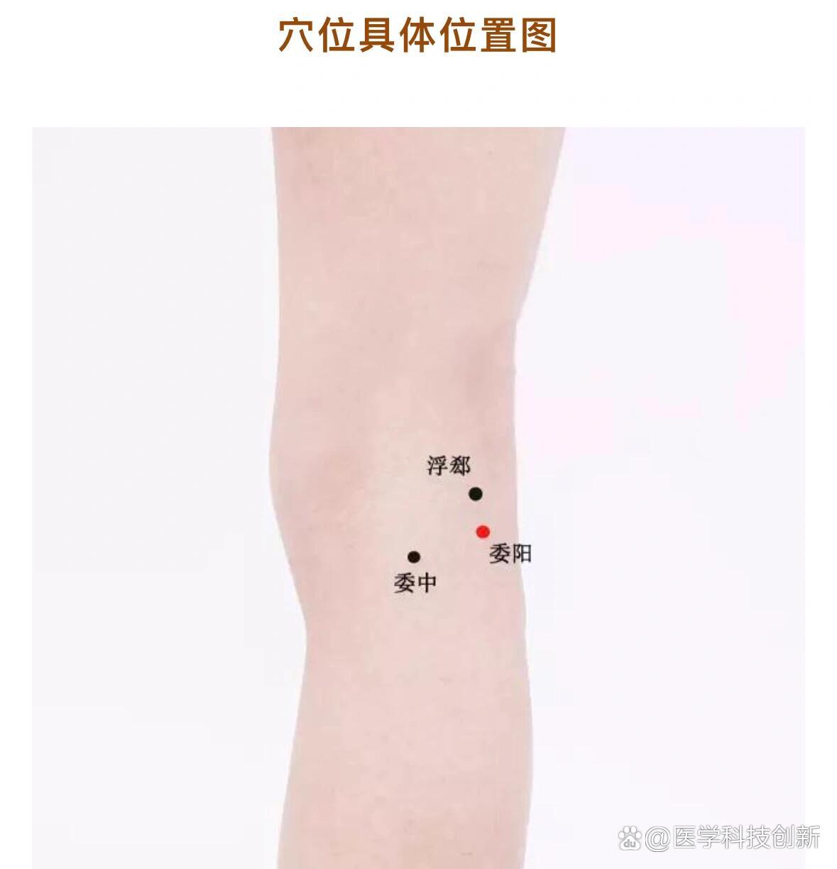 主治:便秘 br>	 br>【取穴位置】 br>第一种方法:在腘横纹外侧端,当股