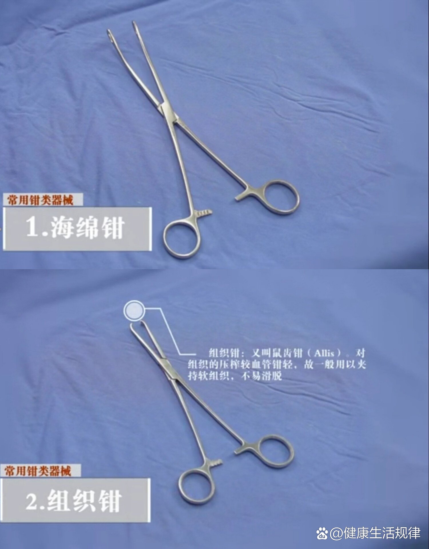 外科常用手术器械