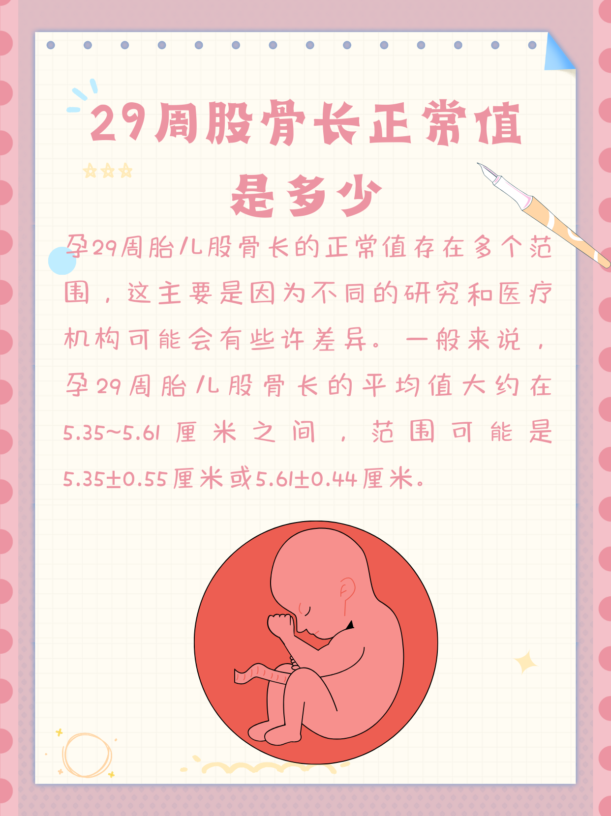 孕妈必看 29周胎儿股骨长正常值揭晓