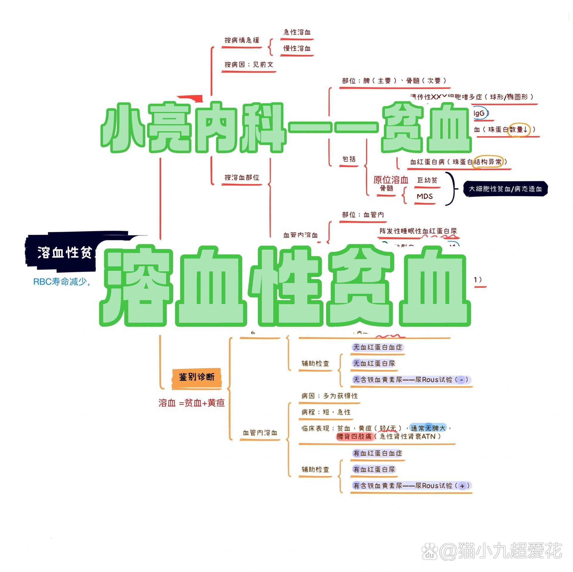 贫血性疾病思维导图图片