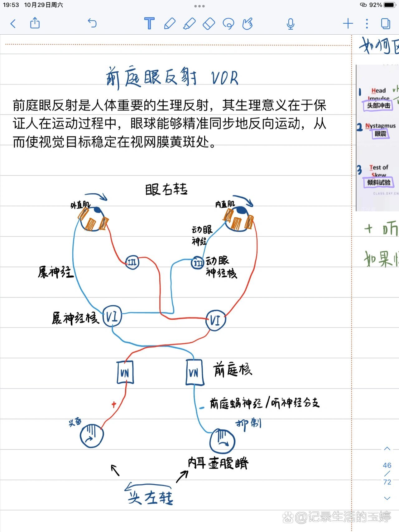 前庭眼反射(vor)