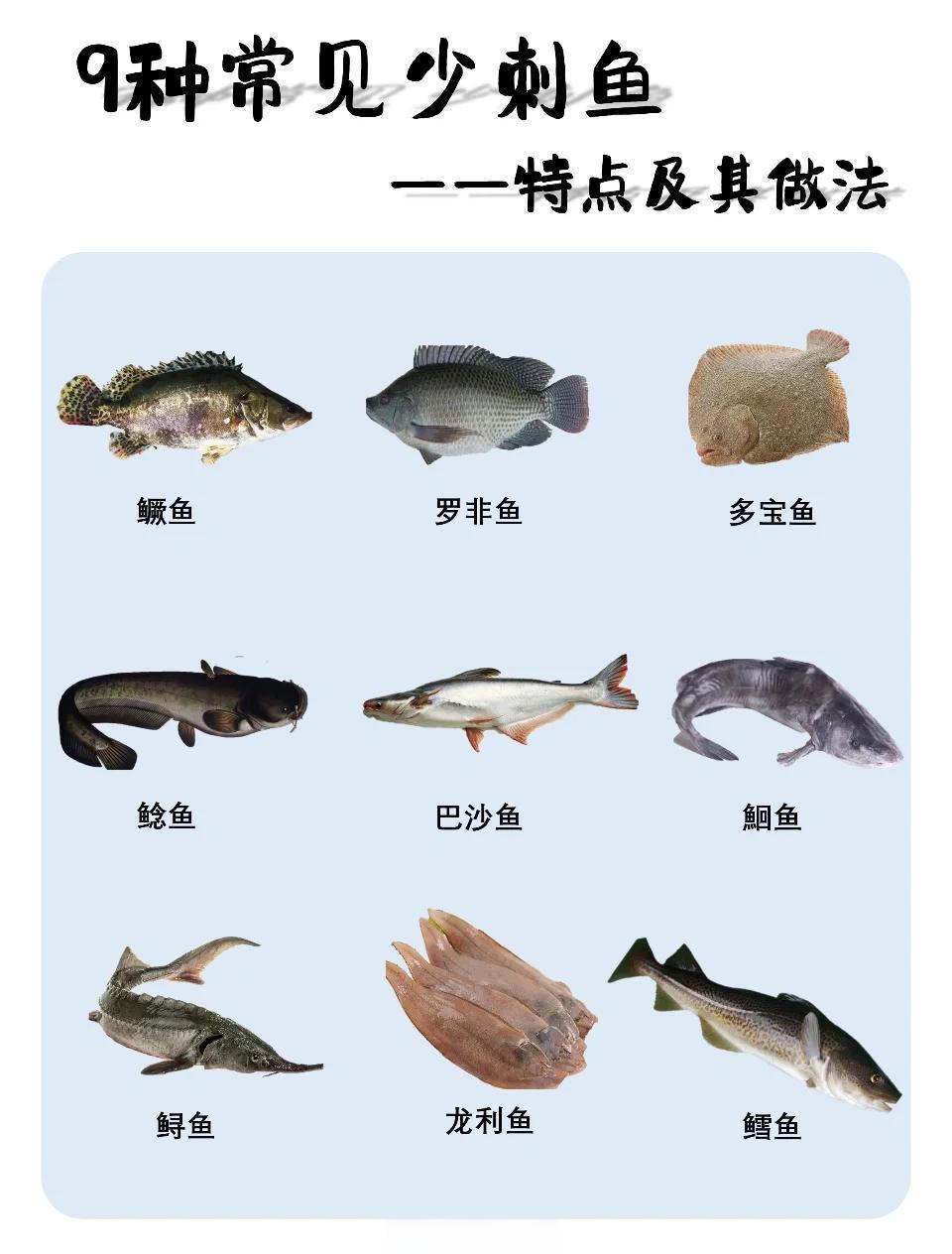 9种少刺鱼推荐，吃鱼不再怕卡刺！