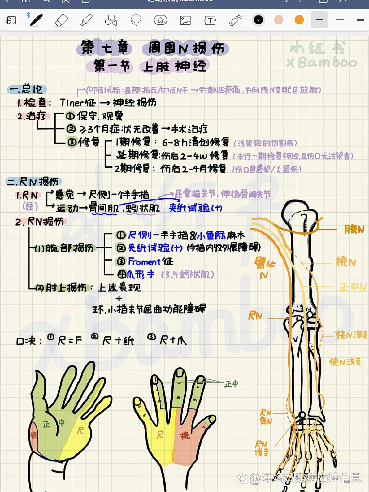 医学笔记9799周围神经损伤,运动系统慢性损