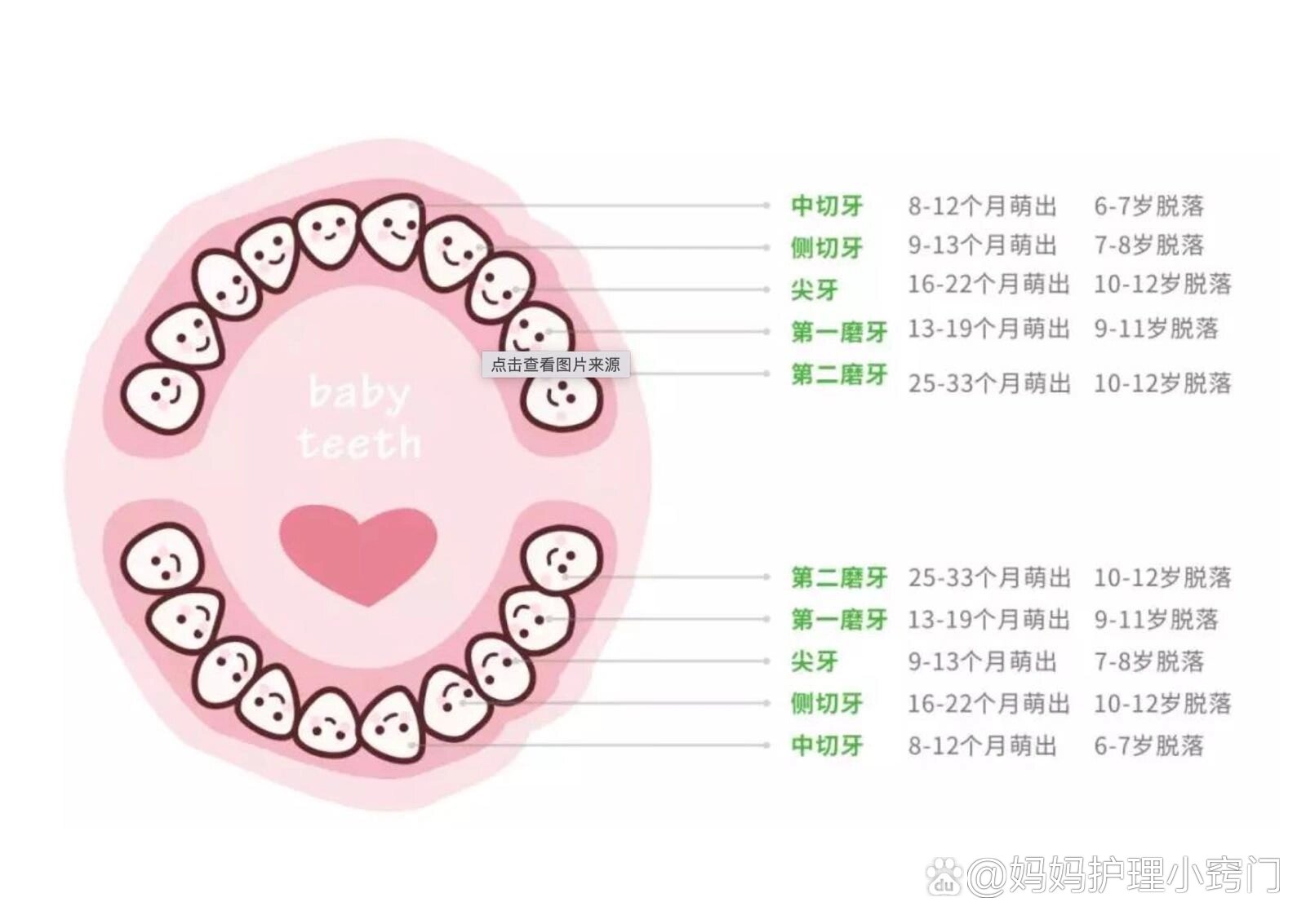 牙齿主题活动网络图图片