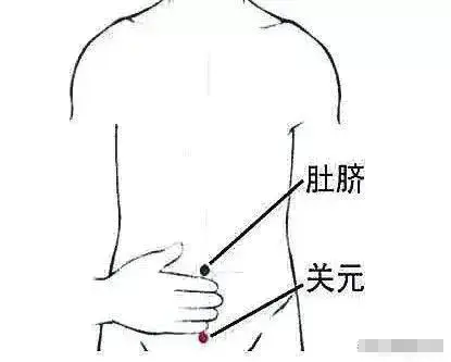 关元位置与作用和功效