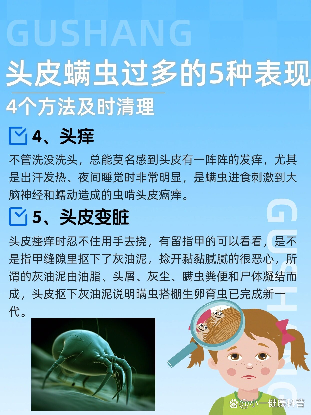 头皮有螨虫怎么办图片