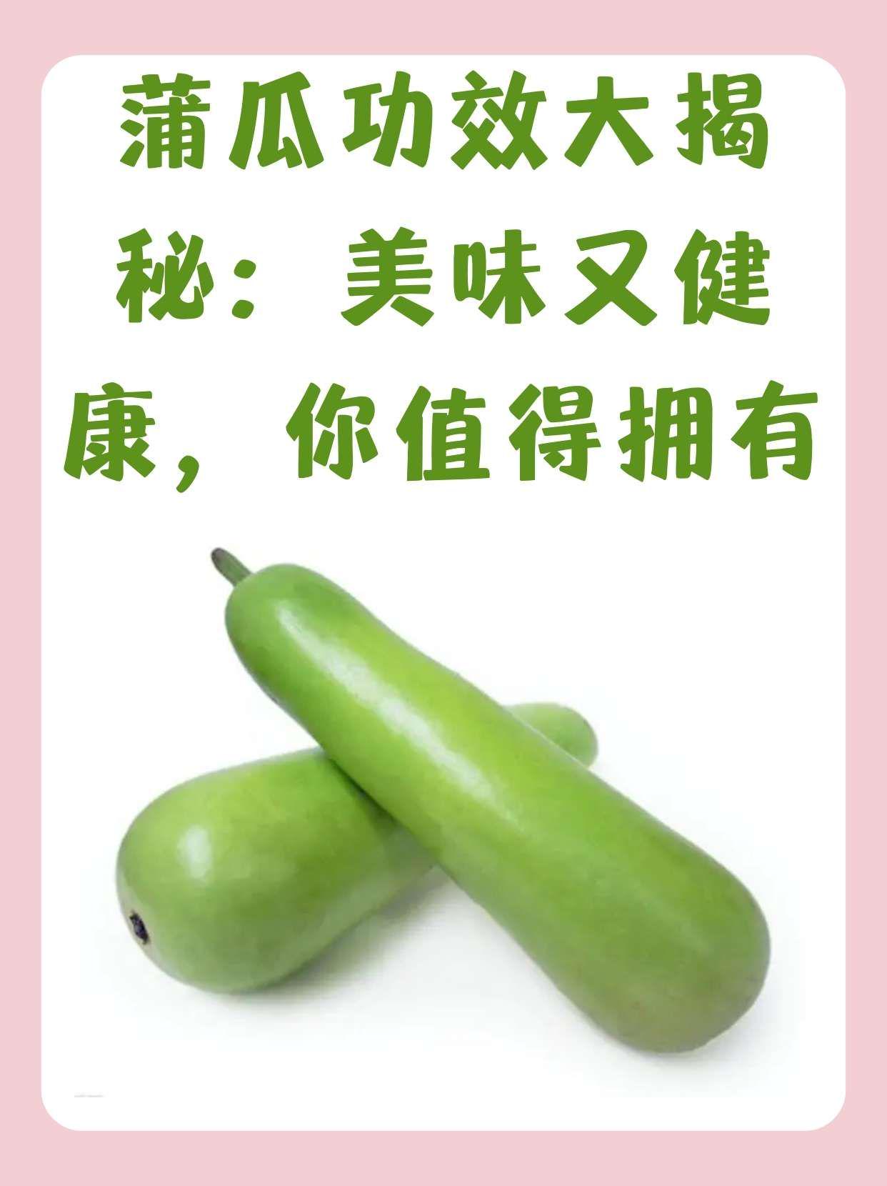 蒲瓜功效大揭秘:美味又健康,你值得拥有