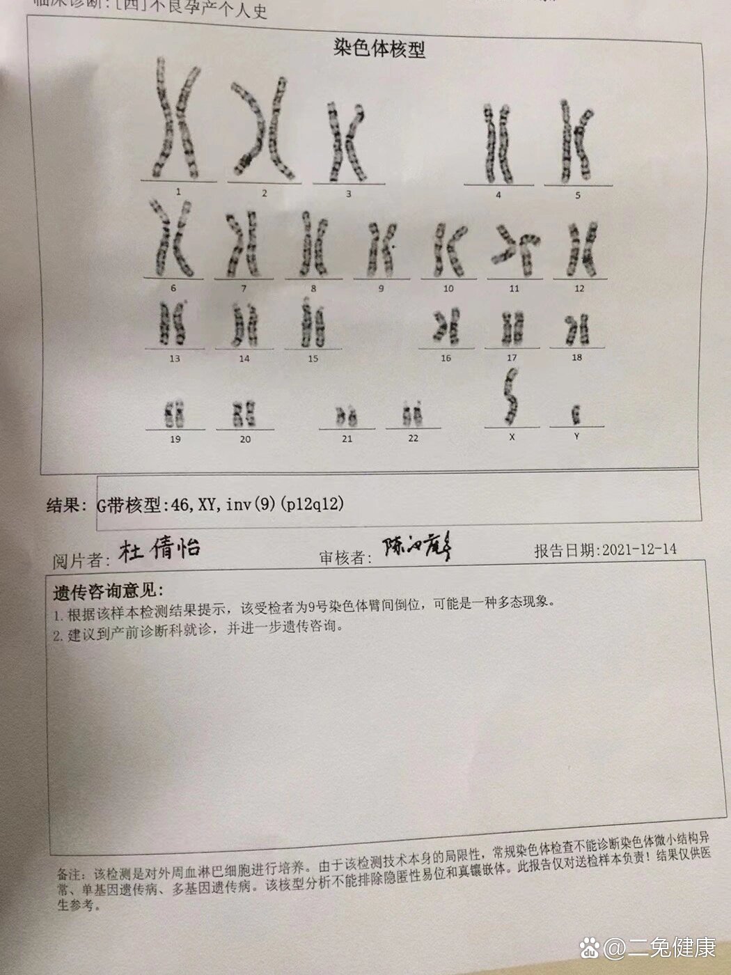 正常染色体报告图片