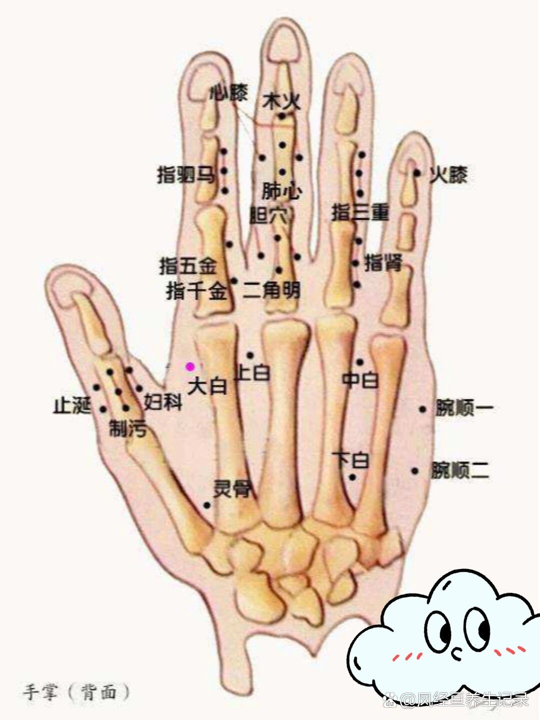 手背学位图片