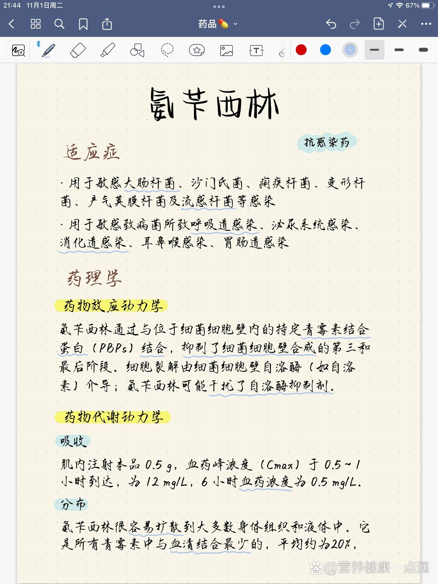 认识药品|no61氨苄西林