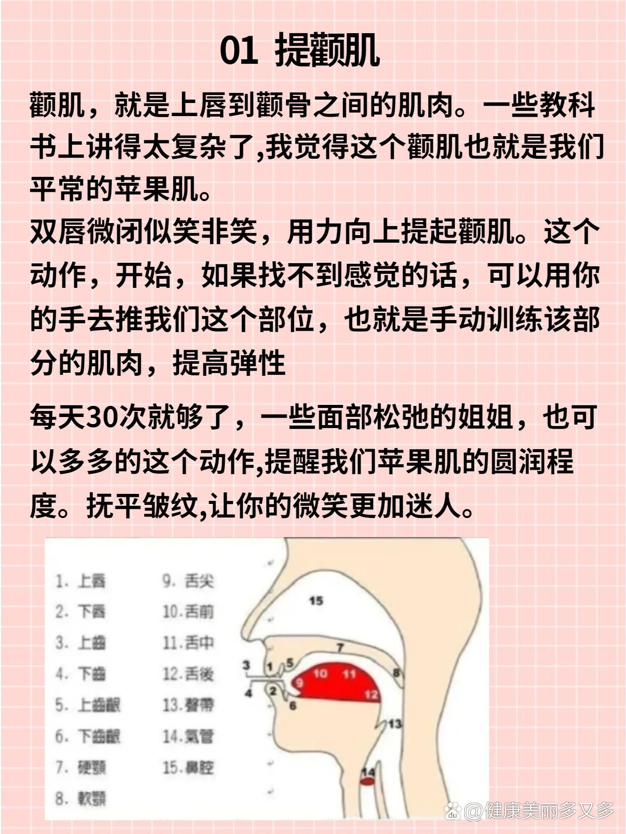 播音主持|提打挺松怎么练