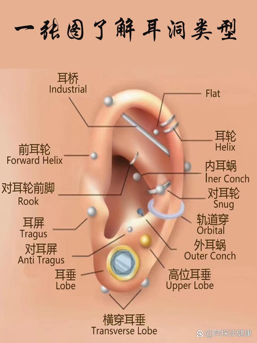 你的耳洞打在了哪?