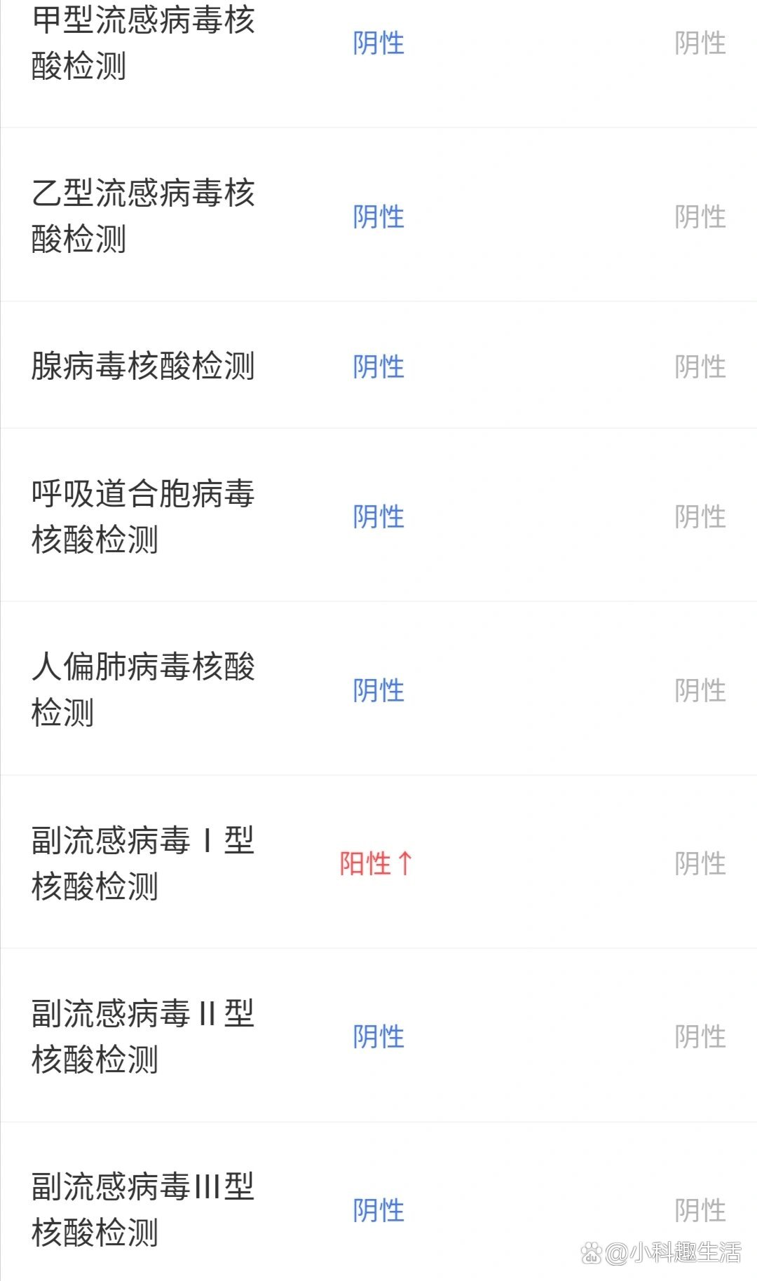 副流感病毒