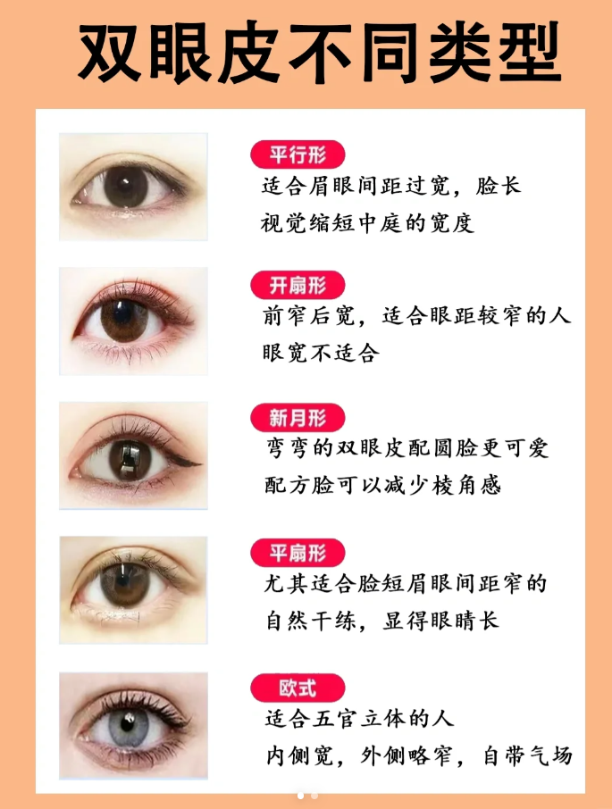 经典的双眼皮形状,给人一种清纯灵动的感觉,非常适合鹅蛋脸的姐妹