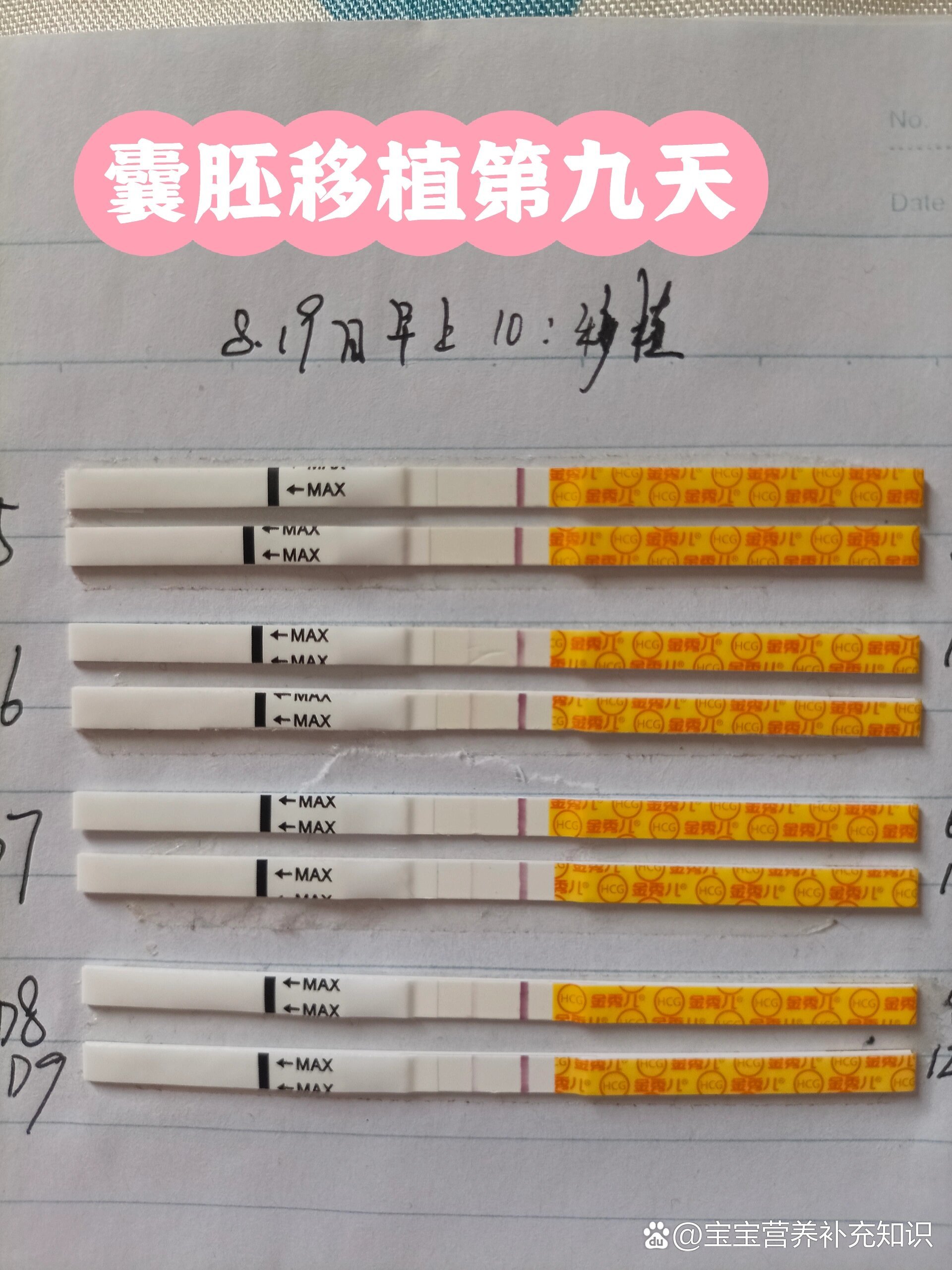 囊胚移植天数怎么算_移植囊胚天数如何计算