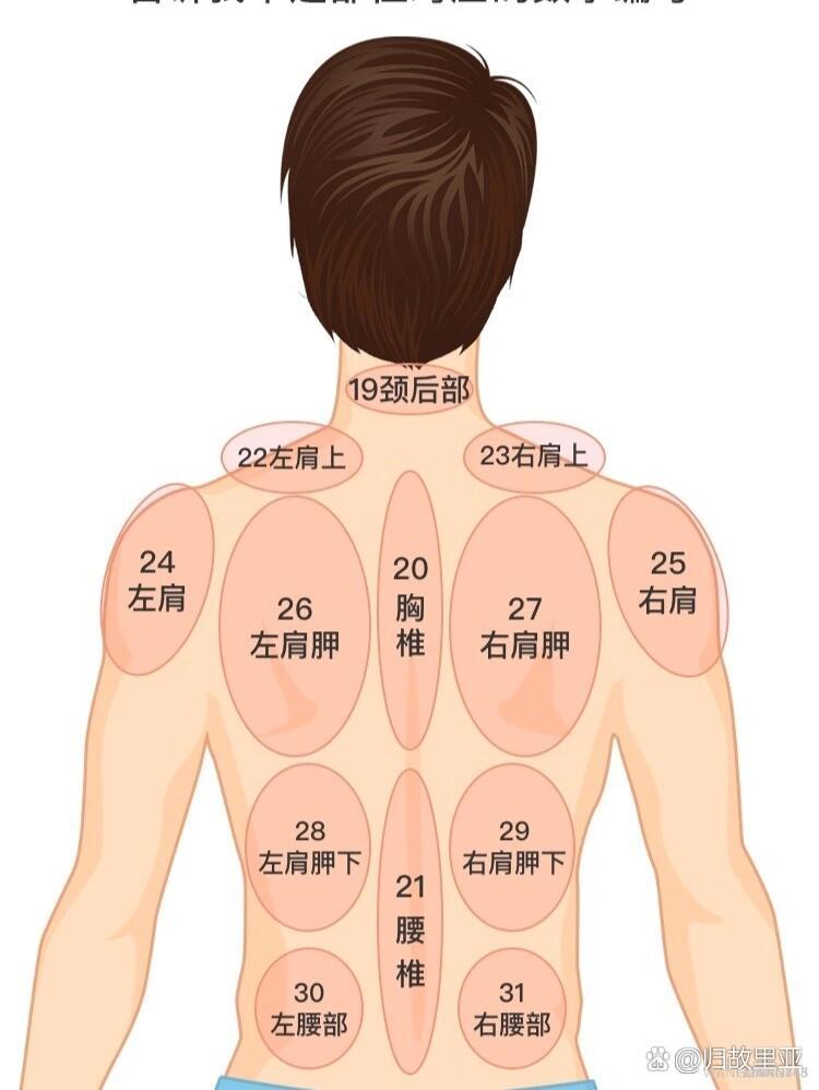 后背部位疼痛图解图片