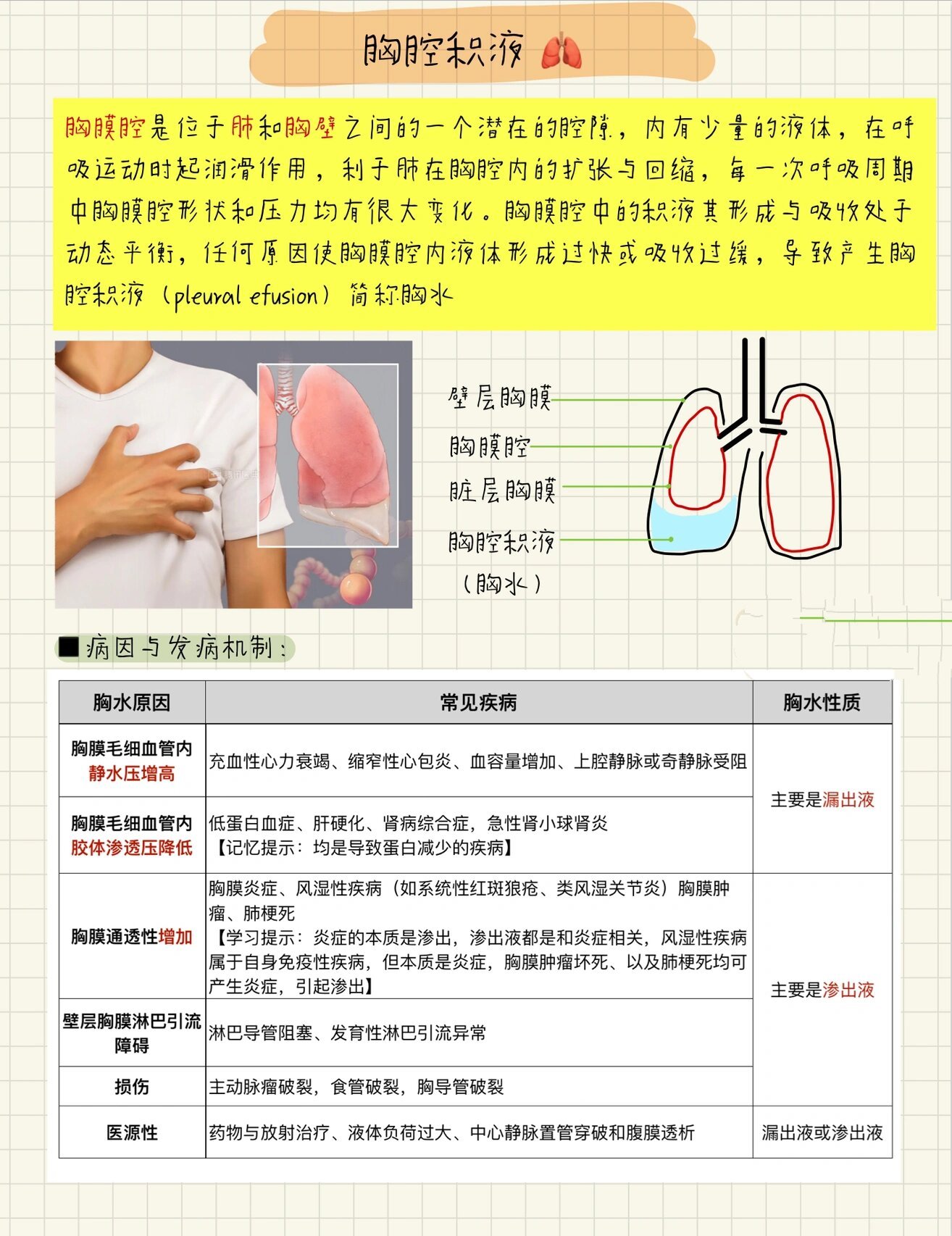 胸腔穿刺进针部位图片