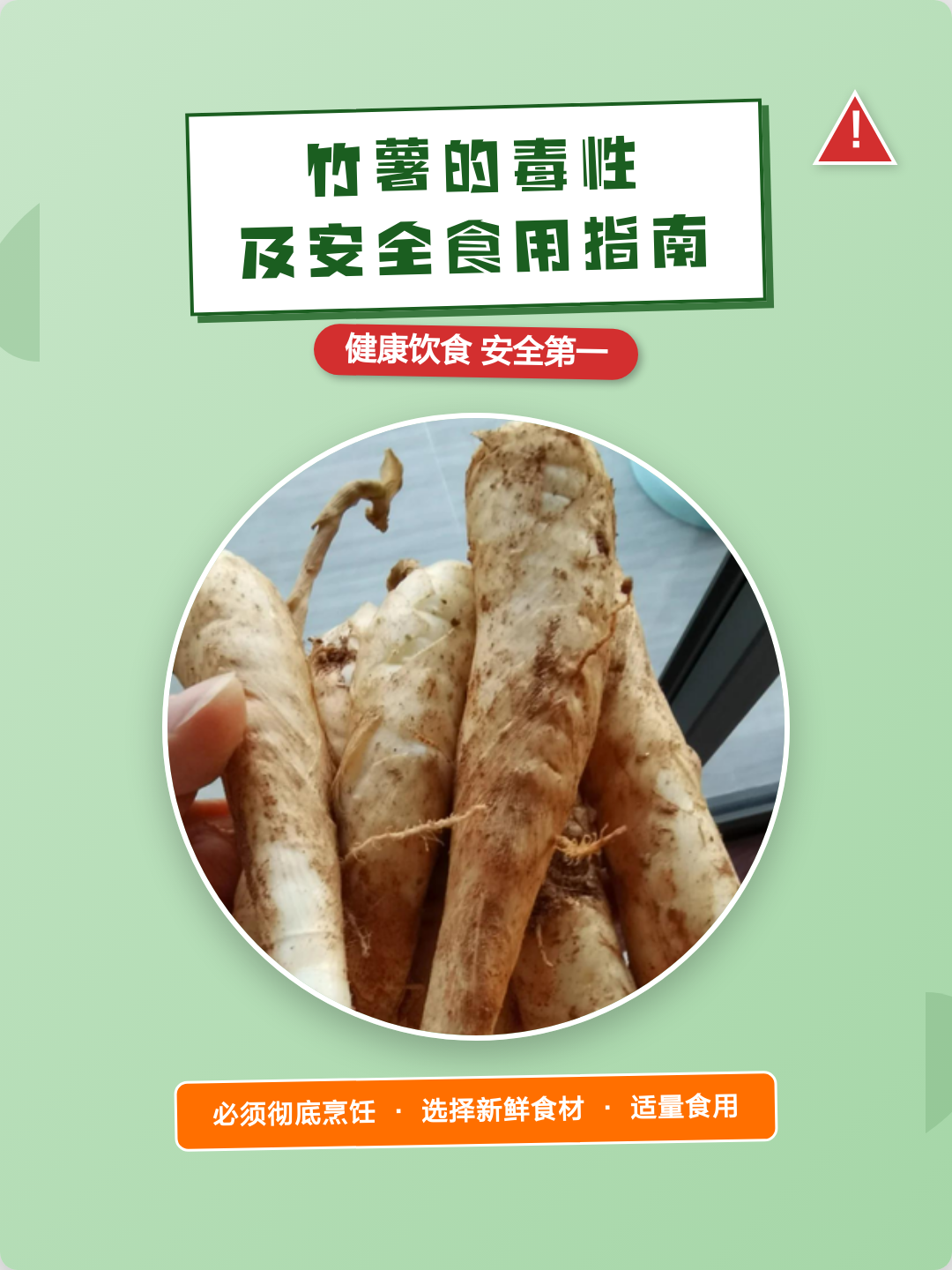 竹薯的毒性及安全食用指南