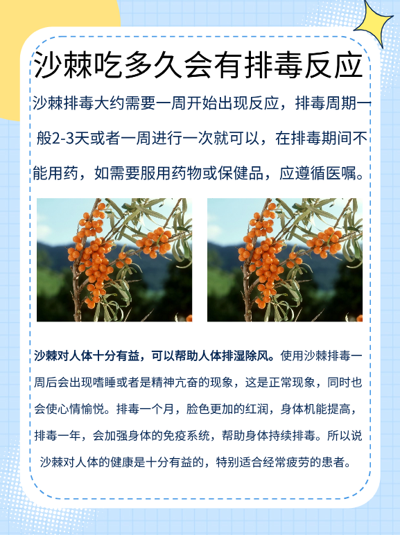沙棘排毒奥秘:多久见效揭秘!